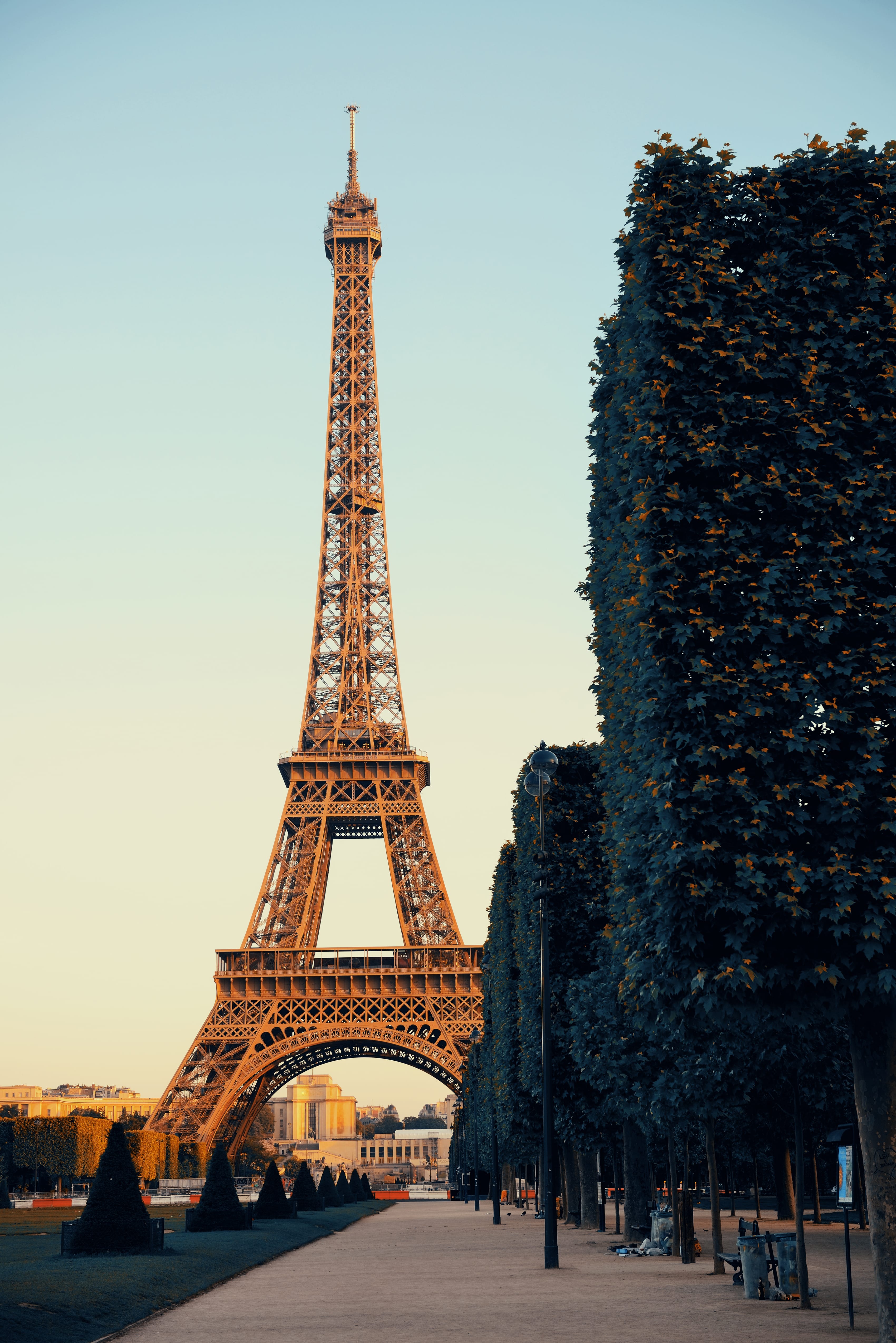 Eiffel Tower at golden hour with tree-lined path